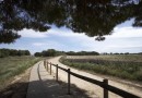 Torrevieja (Altos del Sol), Bungalow #CQ-00-94502