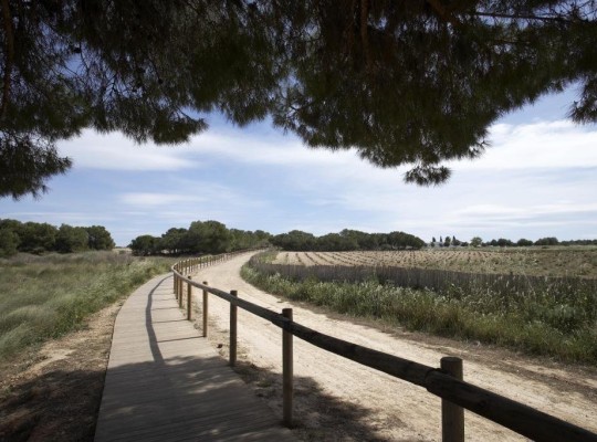 Torrevieja (Altos del Sol), Bungalow #CQ-00-94502