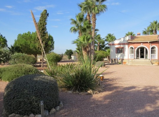 Daya Vieja, Finca #CQ-SD-85383