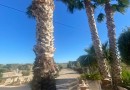 Dolores, Finca #CQ-968
