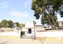 Pilar de La Horadada (Pinar de Campoverde), Villa #CQ-JM-91181