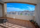 Torrevieja (Centro), Apartment #CQ-142