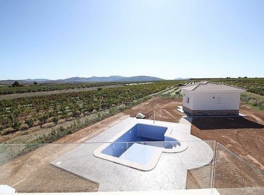 Pinoso (Camino Del Prado), Villa #RD-N7755