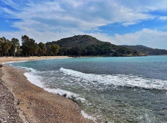 Villajoyosa (Playa del Torres), Apartment #CQ-00-15712