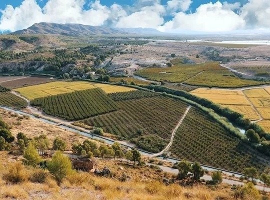 Calasparra (Coto Riñales), Villa #RD-N6937