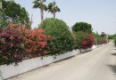 Dolores, Finca #CQ-SD-47199