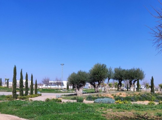 Torre Pacheco (Centro), Penthouse #RD-N7284