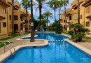 La Mata, Apartment #CQ-900