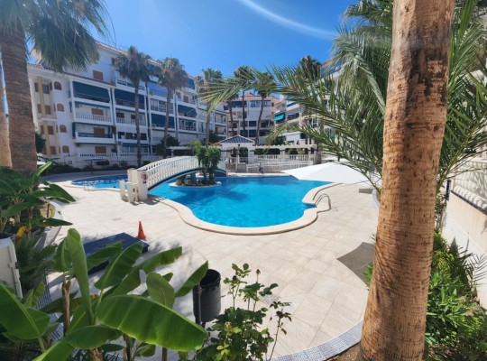 La Mata (Los Europeos), Apartment #CQ-SL-69776