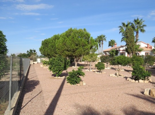 Daya Vieja, Finca #CQ-SD-85383