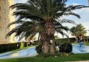 Apartment in Villajoyosa with sea view.