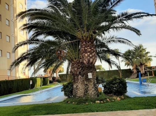 Apartment in Villajoyosa with sea view.