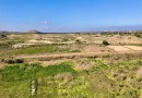 Guardamar del Segura, Apartment #CQ-901