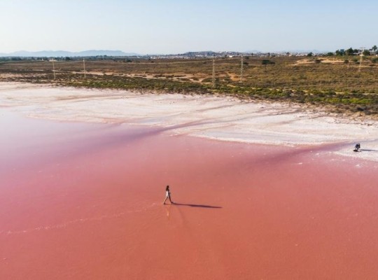 Torrevieja (Aguas Nuevas), Villa #RD-N6894