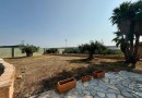 San Miguel de Salinas, Villa #CQ-VK-33957