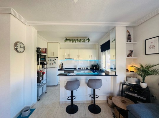 Guardamar del Segura (El moncayo), Apartment #CQ-365