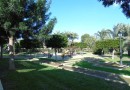 Daya Nueva (pueblo), Villa #CQ-00-19996