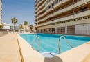 Torrevieja (Playa de La Acequion), Apartment #CQ-TS-12810