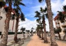 Orihuela Costa (Lomas De Cabo Roig), Apartment #CQ-00-80330
