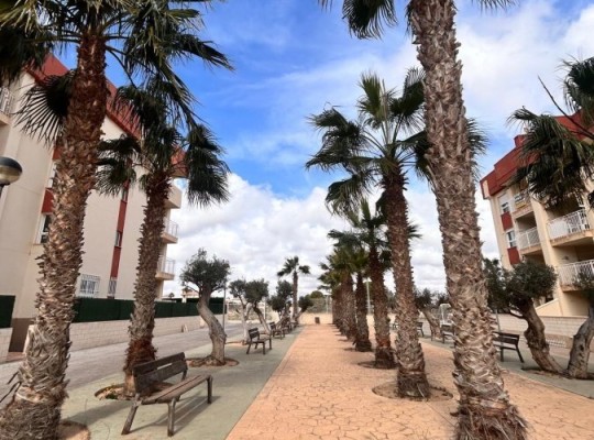 Orihuela Costa (Lomas De Cabo Roig), Apartment #CQ-00-80330