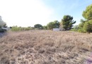 Orihuela Costa (Lomas de Cabo Roig), Plot #CQ-JM-96366