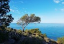 Villajoyosa (Playa Les Torres), Apartment #CQ-00-73244
