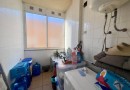 Benejúzar (Comunidad valenciana), Apartment #CQ-PJ-19075