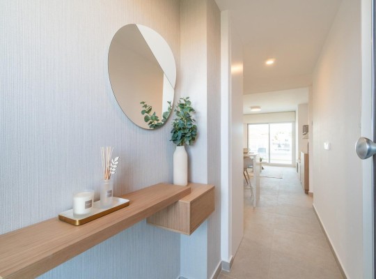 Orihuela Costa (Playa Flamenca), Apartment #RD-N6229