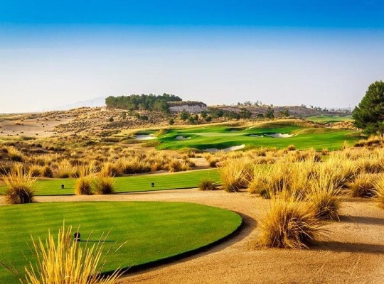 Alhama De Murcia (Condado De Alhama), Villa #RD-N8029