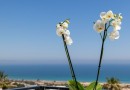 Santa Pola (Gran Alacant), Apartment #CQ-00-75261