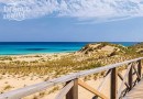 NOVÁ VÝSTAVBA - Luxusní vila v Colonia de Sant Pere