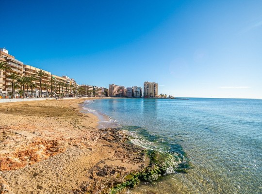 Torrevieja, Apartment #CQ-GL-46441
