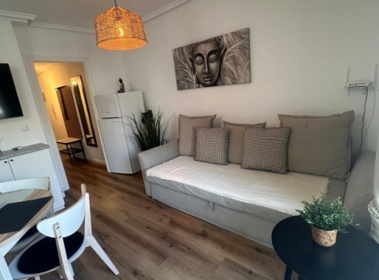 Zrekonstruovaný apartmán 200m od Playa del Cura, Torrevieja
