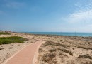 Torrevieja (La Mata), Apartment #CQ-00-72961