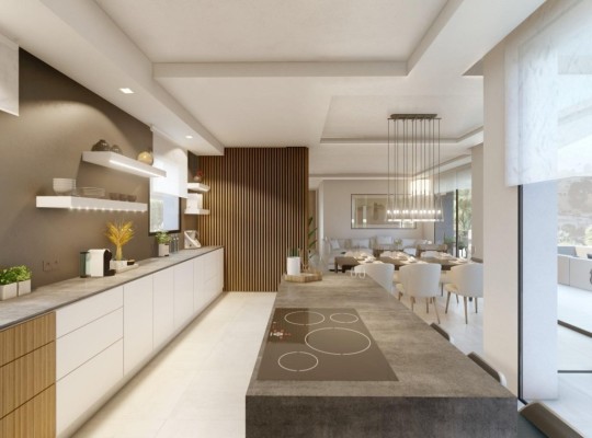 Other areas (Playa de La Fustera), Villa #CQ-00-35807