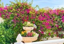 Punta Prima, Villa #CQ-OC-61215