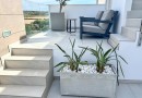 El Raso (El Raso, Guardamar), Villa #CQ-253
