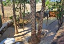 Orihuela, Townhouse #CQ-GL-36163