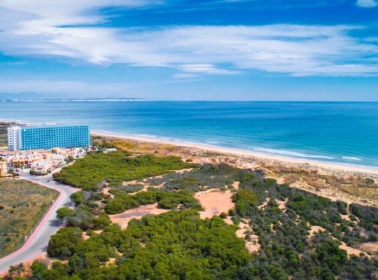 Guardamar del Segura (El moncayo), Apartment #CQ-365