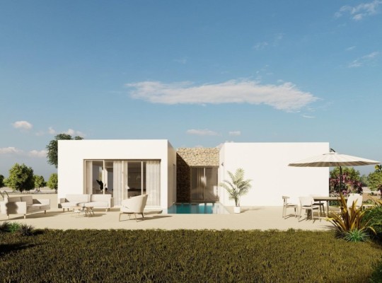 Algorfa (Lomas De La Juliana), Villa #RD-N8550