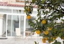 Orihuela Costa (Playa Flamenca), Bungalow #LE-LE-1067