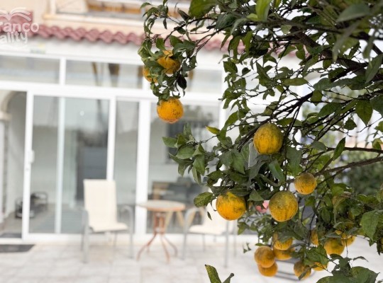 Orihuela Costa (Playa Flamenca), Bungalow #LE-LE-1067