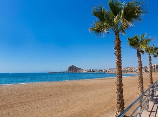 Aguilas (Playa del Hornillo), Apartment #RD-N8073
