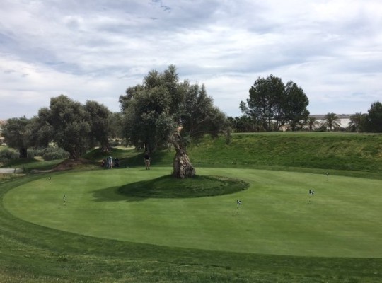 Algorfa, Villa #CQ-M-65255
