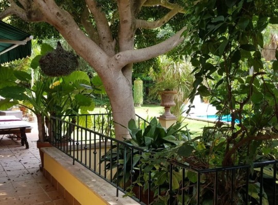 BEAUTIFUL RUSTIC FINCA WITH VACATIONAL LICENSE