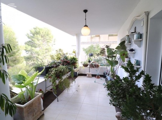 Pilar de La Horadada (Pinar de Campoverde), Villa #CQ-JM-91181