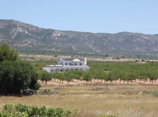 Other areas (Camino Del Prado), Villa #CQ-00-20205