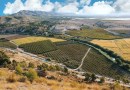 Other areas (Coto riñales), Villa #CQ-00-49931