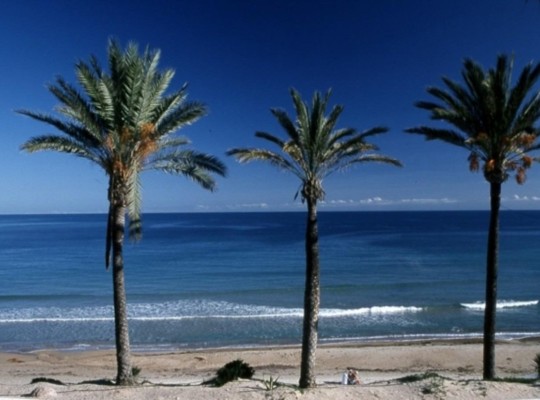 Pilar de La Horadada (Parque Ramon eugenio Escudero), Bungalow #RD-N8691