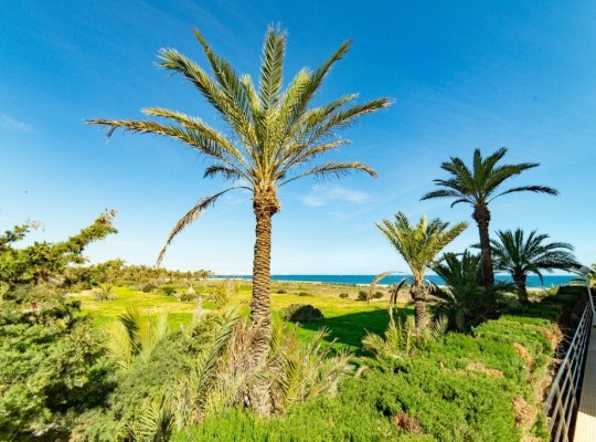 Punta Prima (Rocio del Mar), Apartment #CQ-OC-71344